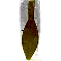 27 İnç Sarı Jumbo Balon