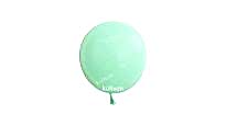 5 İNC MAKARON MİNT YEŞİLİ BALON 100 LÜ(KAL)