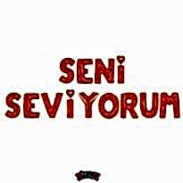 Seni Seviyorum Folyo Balon Seti